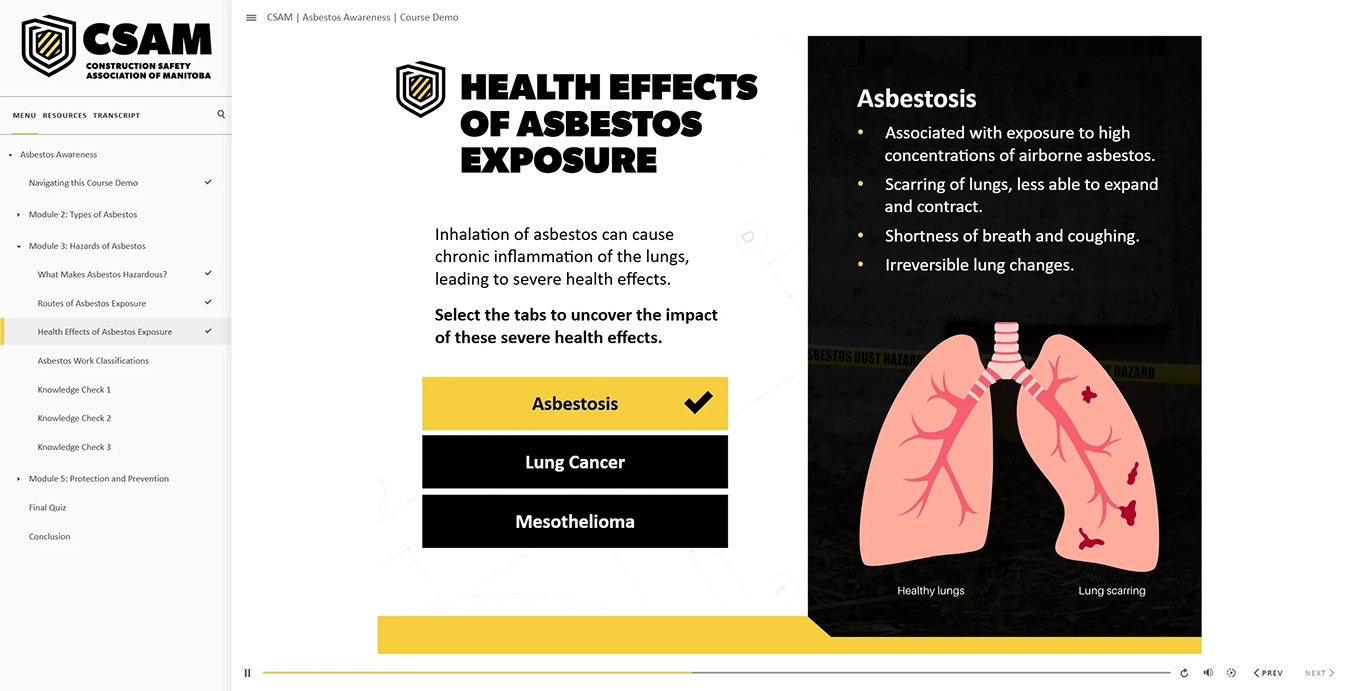 CSAM cross-industry relevance