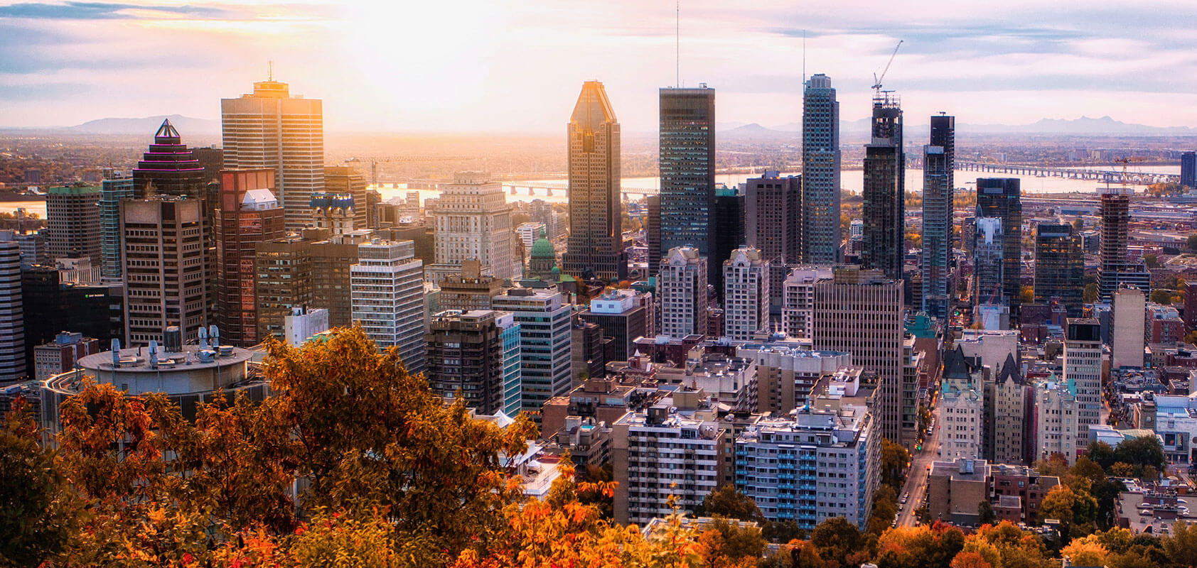 WSP eLearning course interface